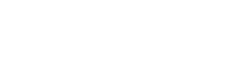 Programa Director